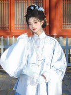 Tang-Dynastie Hanfu Set Damen – Eisblaues Qixiong Ruqun mit Weiten Ärmeln & Elegantes Gewand für Fotoshooting