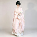 Soft pink Ming-style Hanfu with a standing-collar robe and horse-face skirt