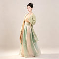 Sage green and pale orange Song-style Hanfu with floral embroidery