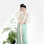 Traditional-inspired Song Hanfu set with a translucent jacket